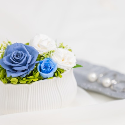 Minminが撮影した商品/物撮りの写真