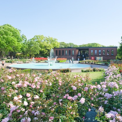 moufotoが撮影した店舗/オフィス/サロン撮影の写真