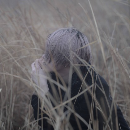 ならもとかずやが撮影した「:albumName」の写真