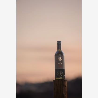 MEGANETWORKSが撮影した料理撮影/商品/物撮りの写真