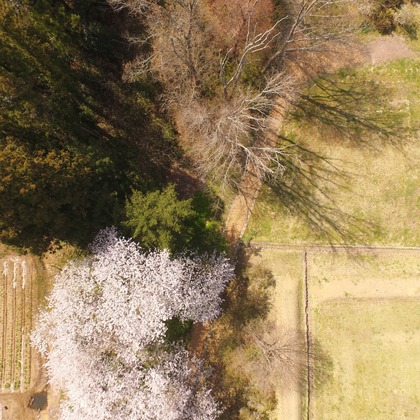 アナハイムエレクトロニクスが撮影したイベント/スナップ撮影の写真