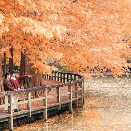 Photo Design CRIEが出張撮影した赤ちゃん・幼児服, 家族一緒に写真を撮る, 記念写真が写ったその他/旅行先の記念撮影の写真