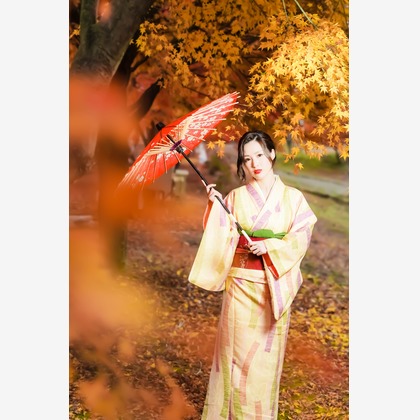 高遠が撮影した「:albumName」の写真