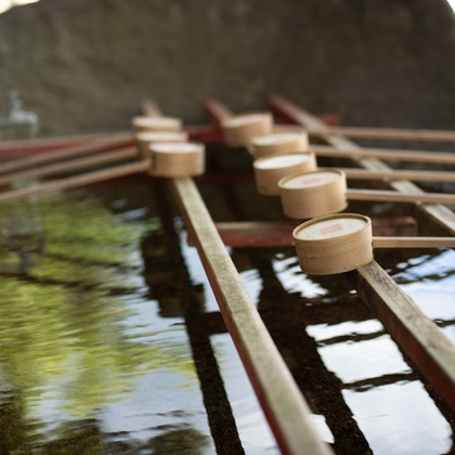 竹部 祐樹が出張撮影した誕生, 慰め, パーティーなどが写った「お宮参り＠唐津神社」の家族写真