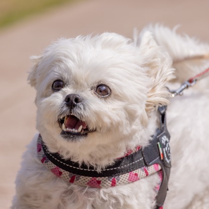 沖山俊樹が撮影した「:albumName」の写真