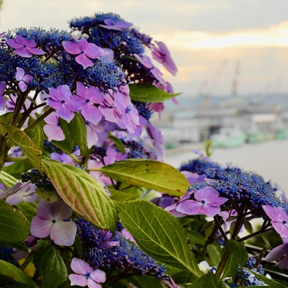 TATEZOUが撮影したイベント/スナップ撮影の写真