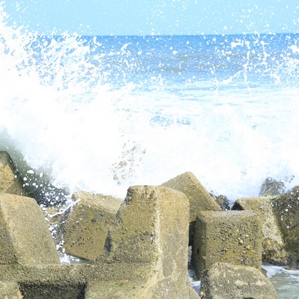 blink photoが撮影したウェディングや家族、ビジネスの写真