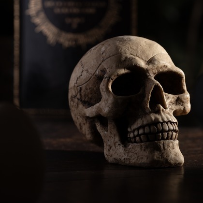 樋川正樹が撮影した店舗/オフィス/サロン撮影/イベント/スナップ撮影/料理撮影/商品/物撮り/人物撮影の写真