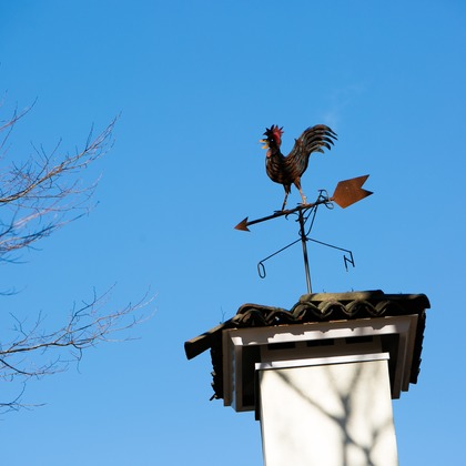 Photo of :albumName taken by IDEA PHOTO WORKS