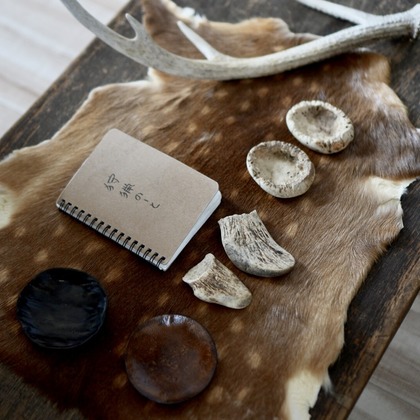 神部葵が撮影した「:albumName」の写真