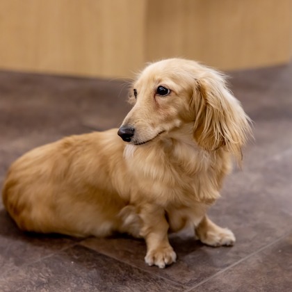 沖山俊樹が撮影した「:albumName」の写真