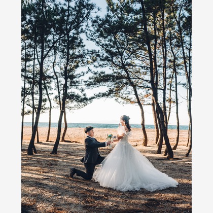 Photo of :albumName taken by STARFY