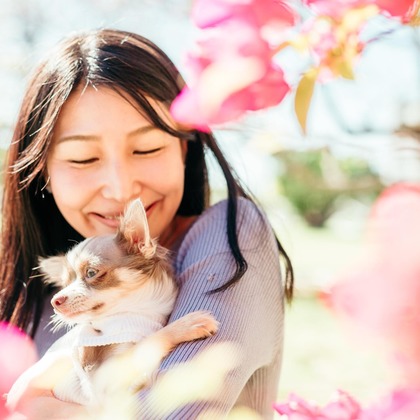 ポートレート沖縄が撮影した「:albumName」の写真