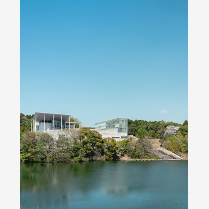 森本海斗が撮影した「:albumName」の写真