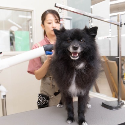 株式会社DAVINCI-Developmentが撮影した「:albumName」の写真