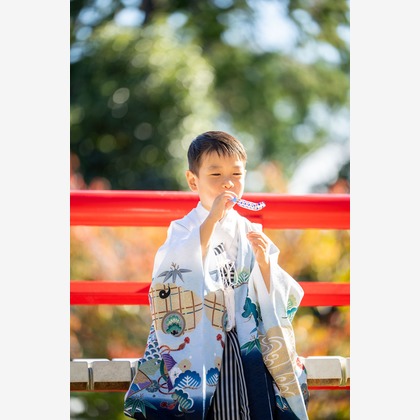 クリエイティブツリーが撮影した「:albumName」の写真