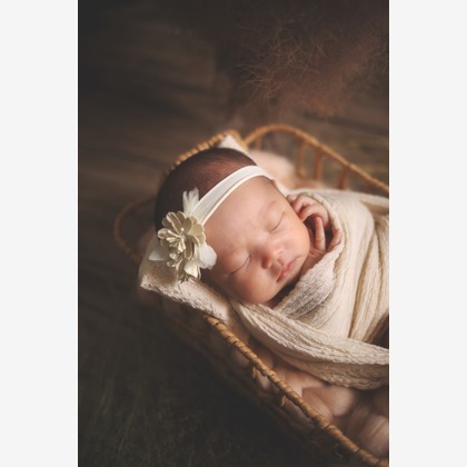 荒畑けいこが出張撮影した友情, 砂, 楽しげが写ったニューボーンフォトの写真