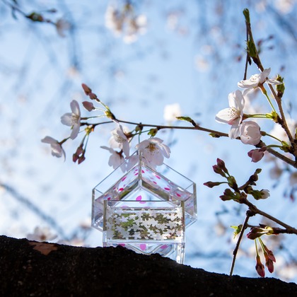 maruが撮影した「:albumName」の写真