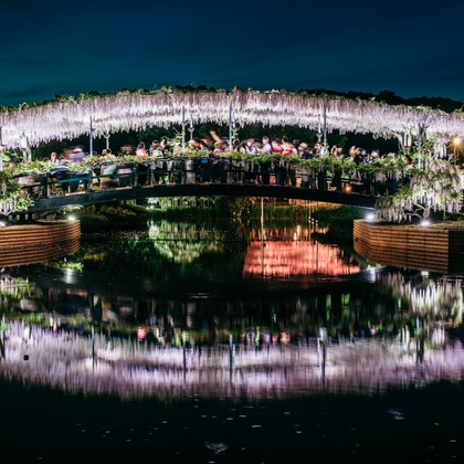 光画堂スタジオが撮影したウェディングや家族、ビジネスの写真