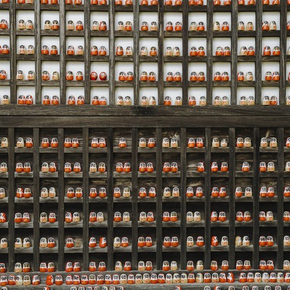 三谷 朋也が撮影した「:albumName」の写真