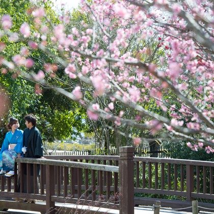 BUGZ WORKS PHOTOGRAPHYが撮影したウェディングや家族、ビジネスの写真