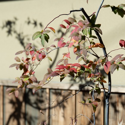 Etographが撮影した店舗/オフィス/サロン撮影の写真