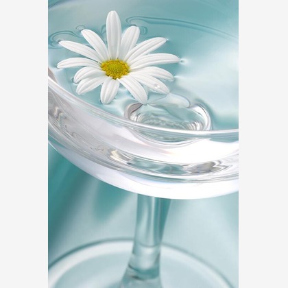 有限会社スタジオホリデーが撮影した「:albumName」の写真