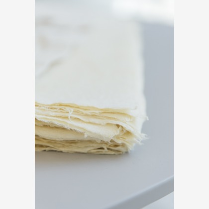 柴田和衣子が撮影したウェディングや家族、ビジネスの写真