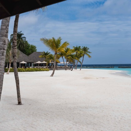 oryo studioが撮影したウェディングや家族、ビジネスの写真