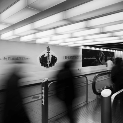 梅田　紫邑が撮影した「:albumName」の写真