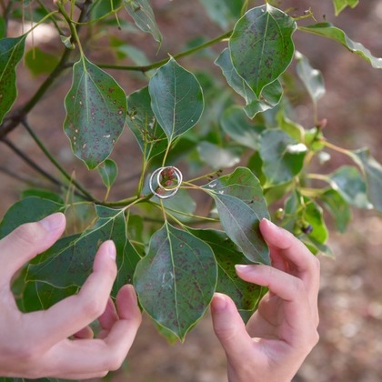 キキフォトワークスが撮影したウェディングや家族、ビジネスの写真