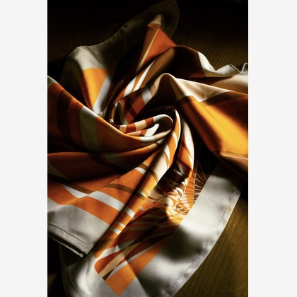 福本　玲弥が撮影した「:albumName」の写真