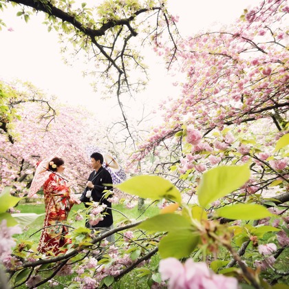 elle pupaが撮影した「:albumName」の写真