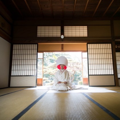 ピュアアーティス(小島 靖雄)が撮影した「:albumName」の写真