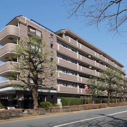 佳川奈央が撮影した「建築物」の写真