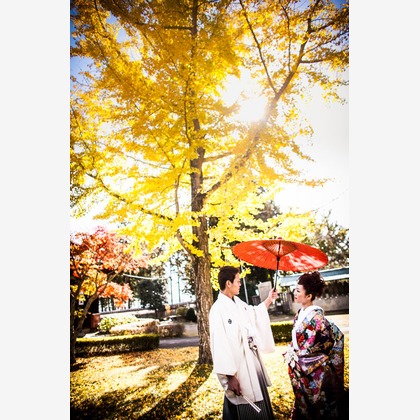 阿部写真館　大阪本町 靭公園前が撮影したウェディングや家族、ビジネスの写真