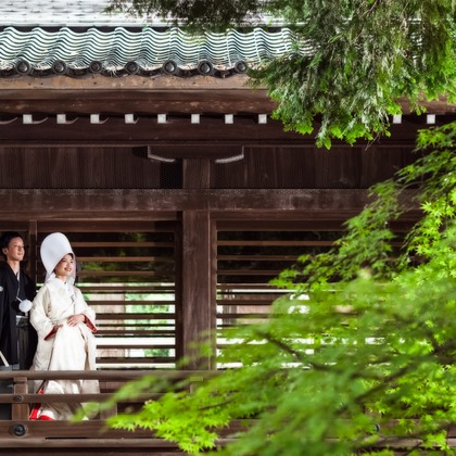  グラフィーズが撮影した「:albumName」の写真