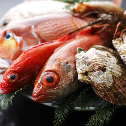 堀修平写真事務所が撮影した「:albumName」の写真