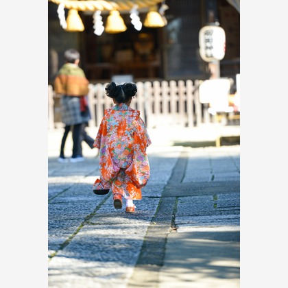 アラタンホヤガが撮影した「:albumName」の写真