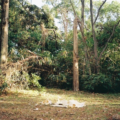 村崎玲巨が撮影した商品/物撮り/人物撮影の写真