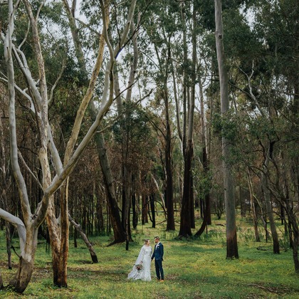 Photo of :albumName taken by Simone Addison Photography