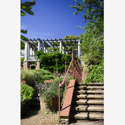 Lucky Sliver Sixpenceが撮影した「プラン名：Romantic Park(ロケーション参考写真）」の写真