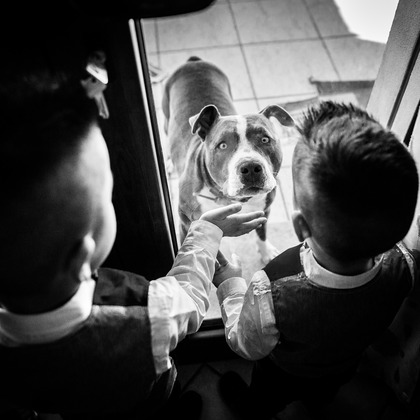 Alberto Orrú が撮影した「:albumName」の写真