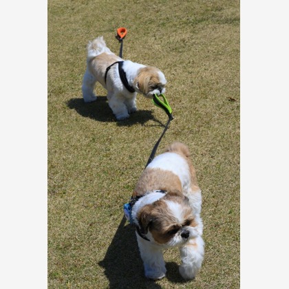 CREAMYが撮影した「:albumName」の写真