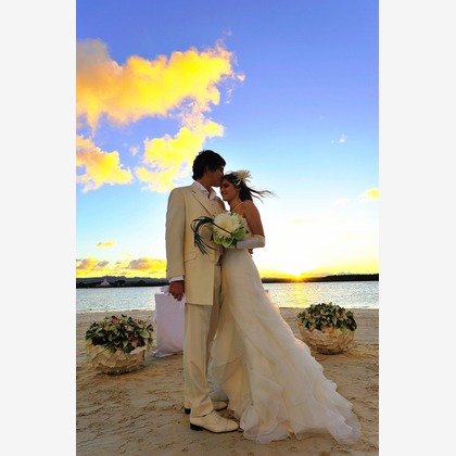 今林 浩一が撮影した「:albumName」の写真