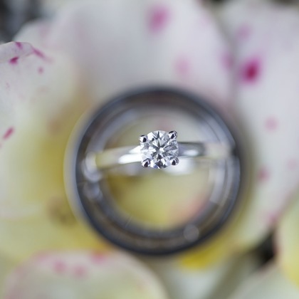 Tanja Metelitsaが撮影した「:albumName」の写真