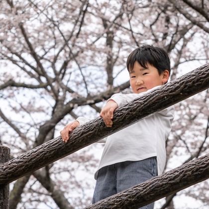 石井凡騎が撮影した家族写真の出張撮影の写真