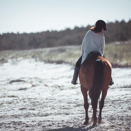 Jacek Cichopekが撮影した「:albumName」の写真