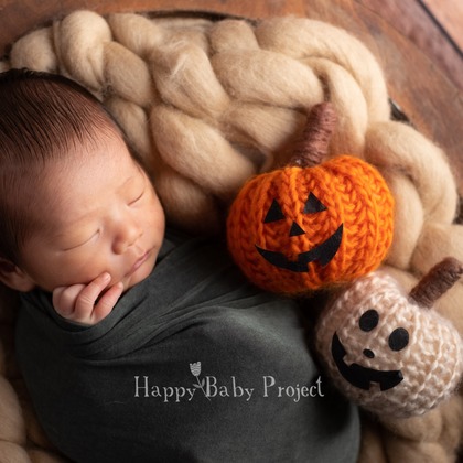 Happy Baby Projectが撮影したその他の写真