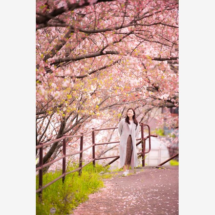 早川 陸が撮影したその他の写真